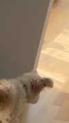 mathilda_bergs Altpins Profile Picture