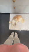 mathilda_bergs Altpins Profile Picture