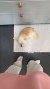 mathilda_bergs Altpins Profile Picture