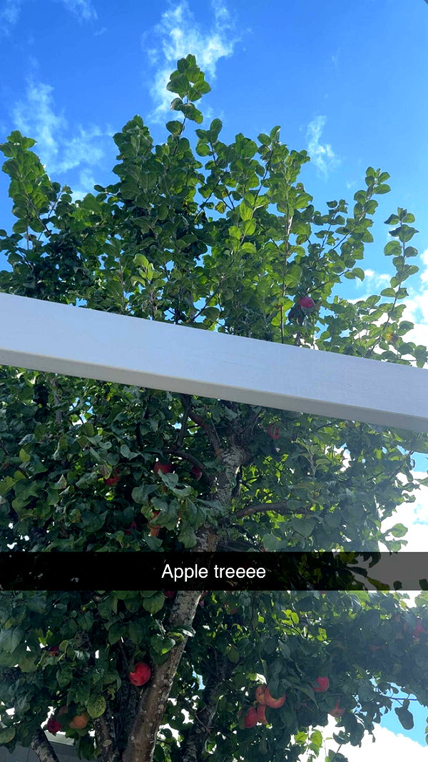 mathilda_bergs snapchat image archive image