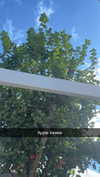 mathilda_bergs Altpins Profile Picture
