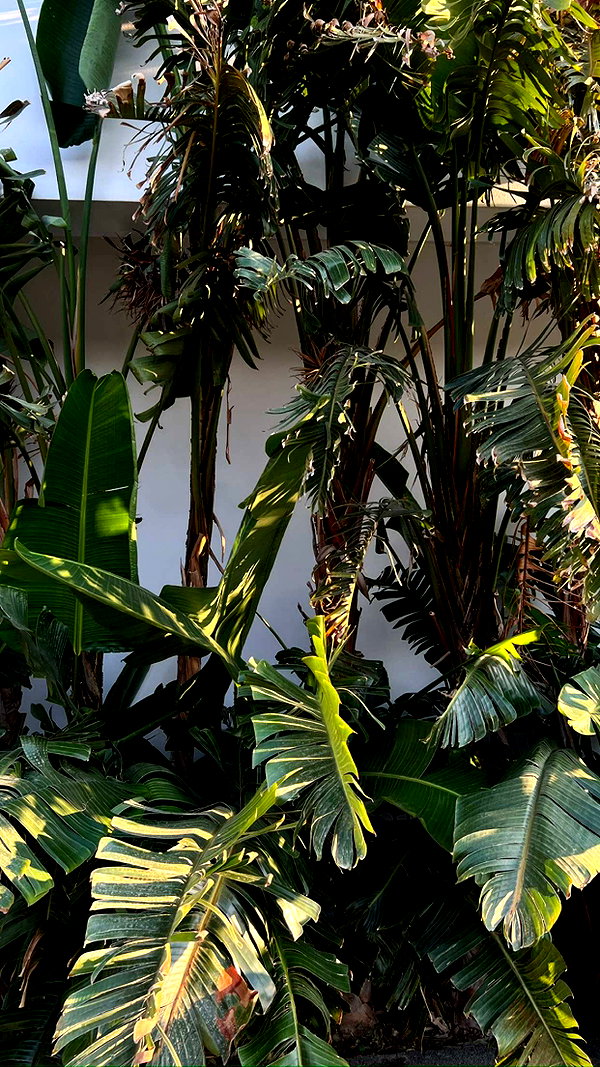 mathilda_bergs snapchat image archive image