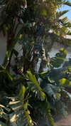 mathilda_bergs Altpins Profile Picture