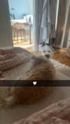 mathilda_bergs Altpins Profile Picture