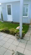 mathilda_bergs Altpins Profile Picture