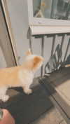 mathilda_bergs Altpins Profile Picture