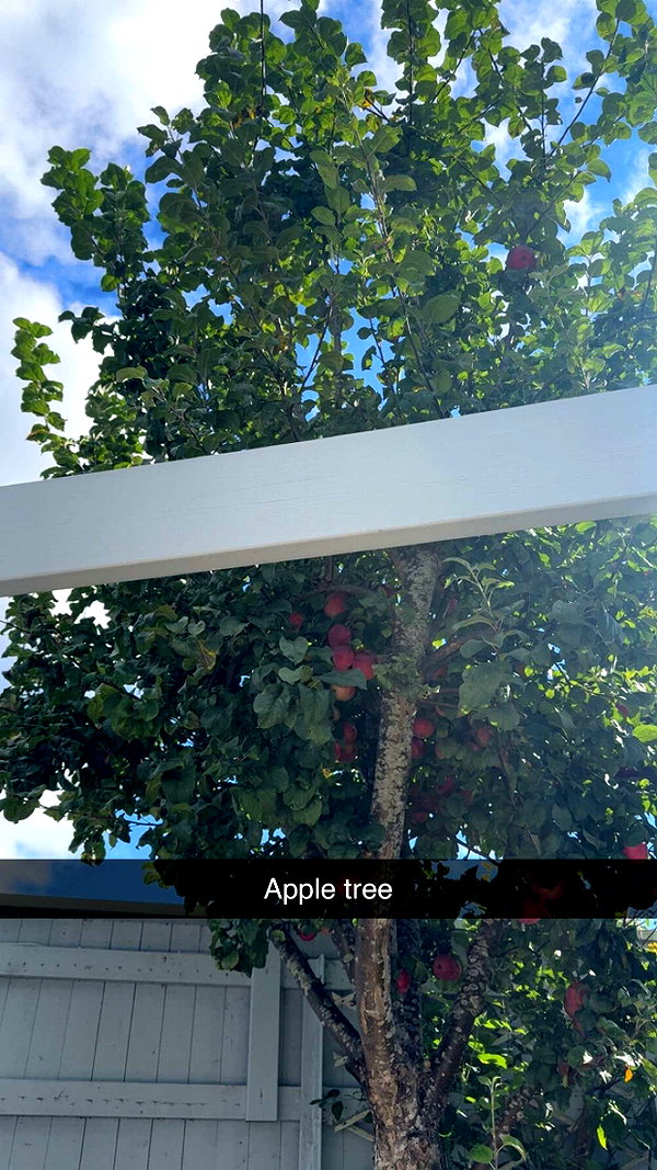 mathilda_bergs snapchat image archive image