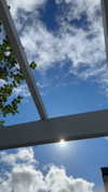 mathilda_bergs Altpins Profile Picture