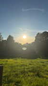 mathilda_bergs Altpins Profile Picture