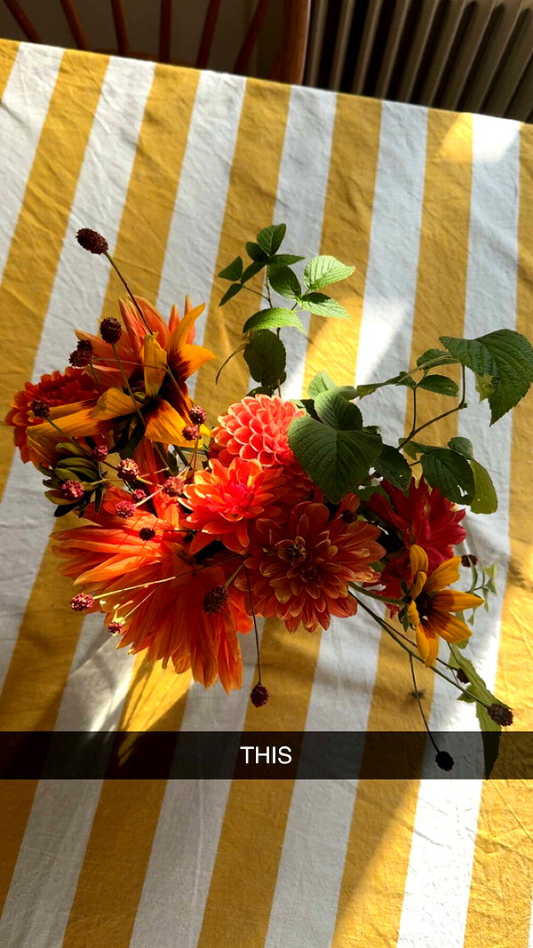 mathilda_bergs snapchat image archive image