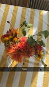 mathilda_bergs Altpins Profile Picture
