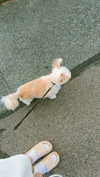 mathilda_bergs Altpins Profile Picture