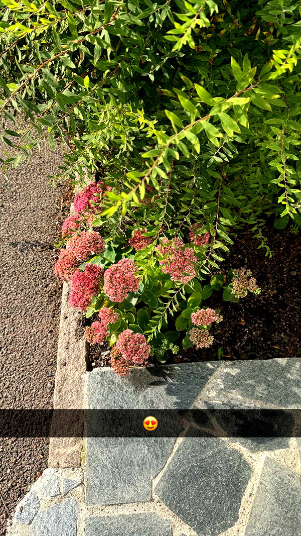 mathilda_bergs snapchat image archive image