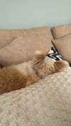 mathilda_bergs Altpins Profile Picture