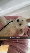 mathilda_bergs Altpins Profile Picture