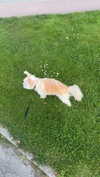mathilda_bergs Altpins Profile Picture
