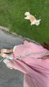 mathilda_bergs Altpins Profile Picture