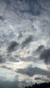 mathilda_bergs Altpins Profile Picture