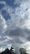 mathilda_bergs Altpins Profile Picture