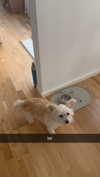 mathilda_bergs Altpins Profile Picture