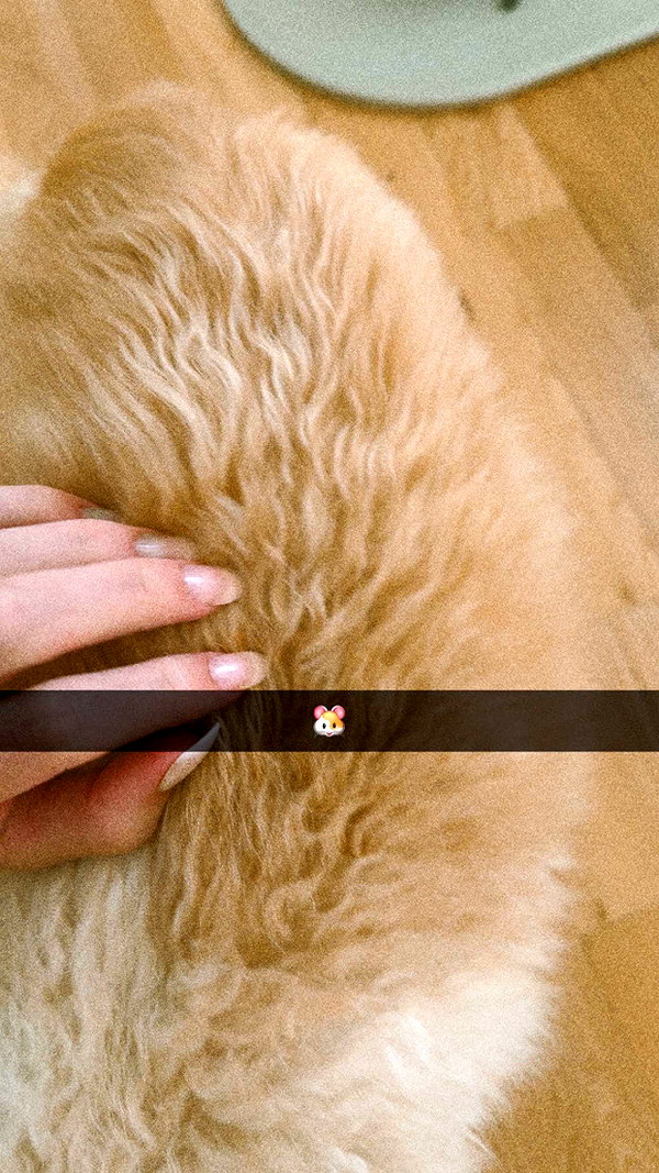 mathilda_bergs snapchat image archive image