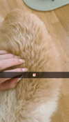 mathilda_bergs Altpins Profile Picture