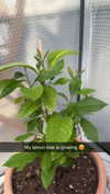 mathilda_bergs Altpins Profile Picture
