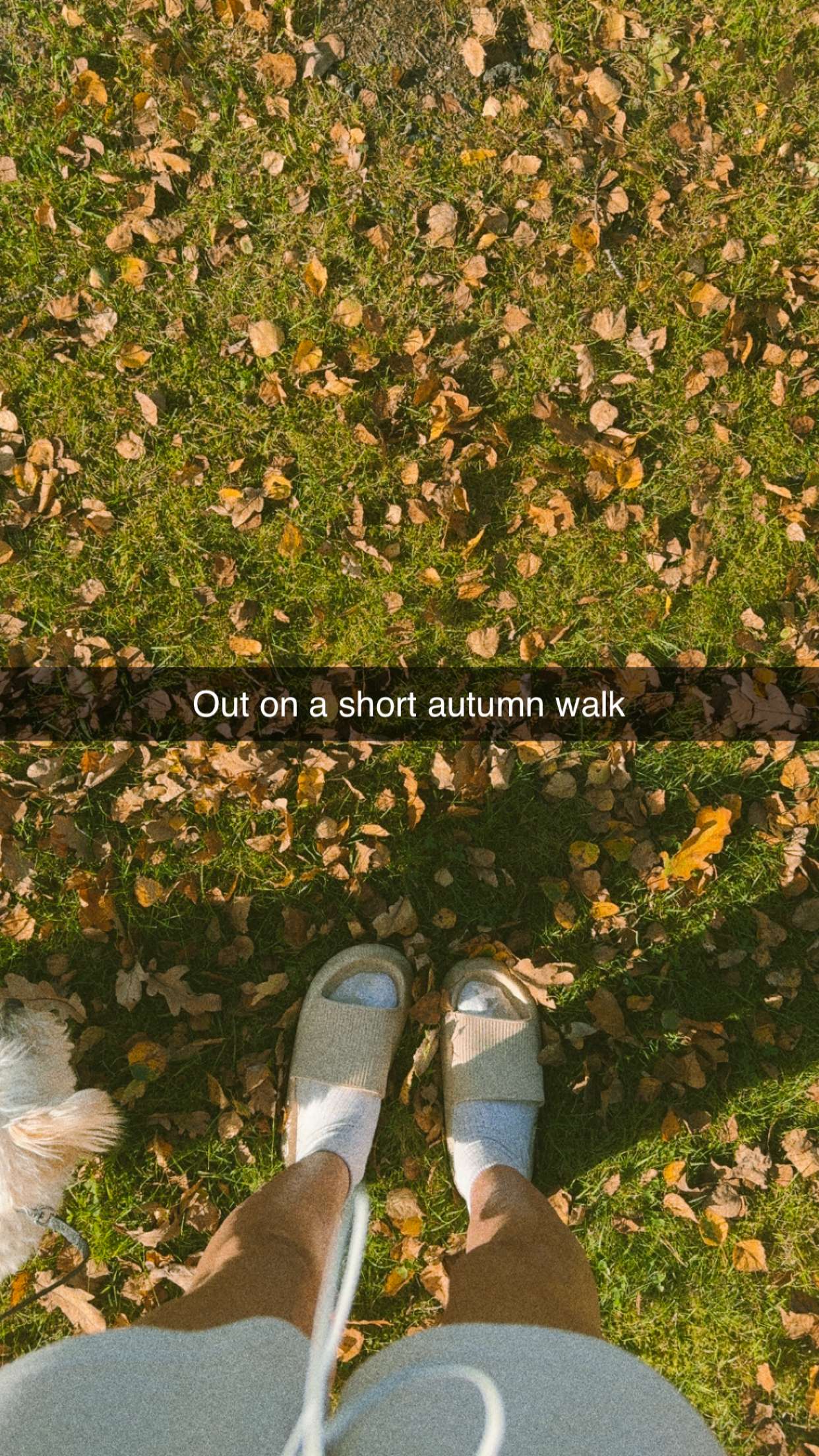 mathilda_bergs snapchat image archive image