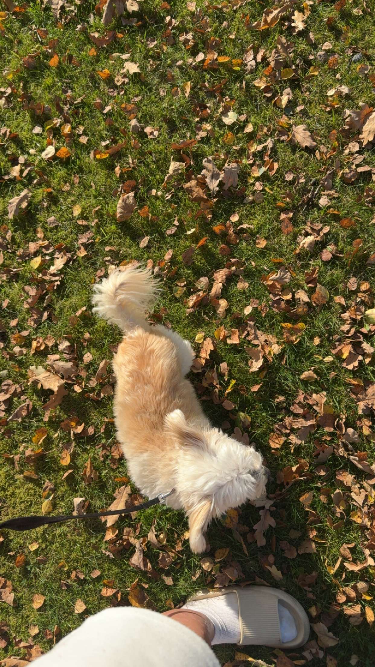 mathilda_bergs snapchat image archive image