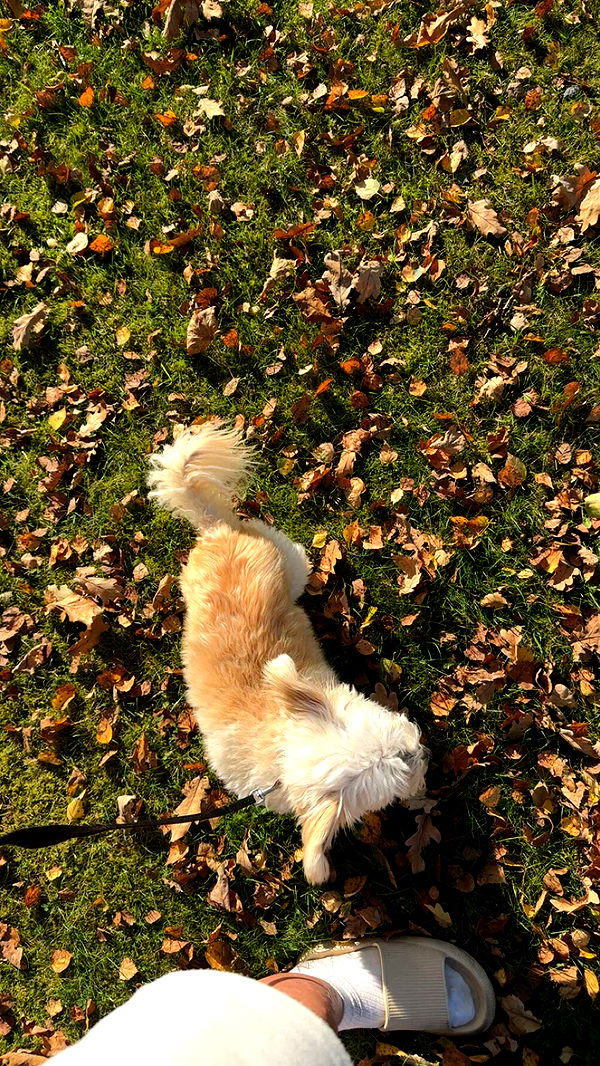 mathilda_bergs image ~ Altpins