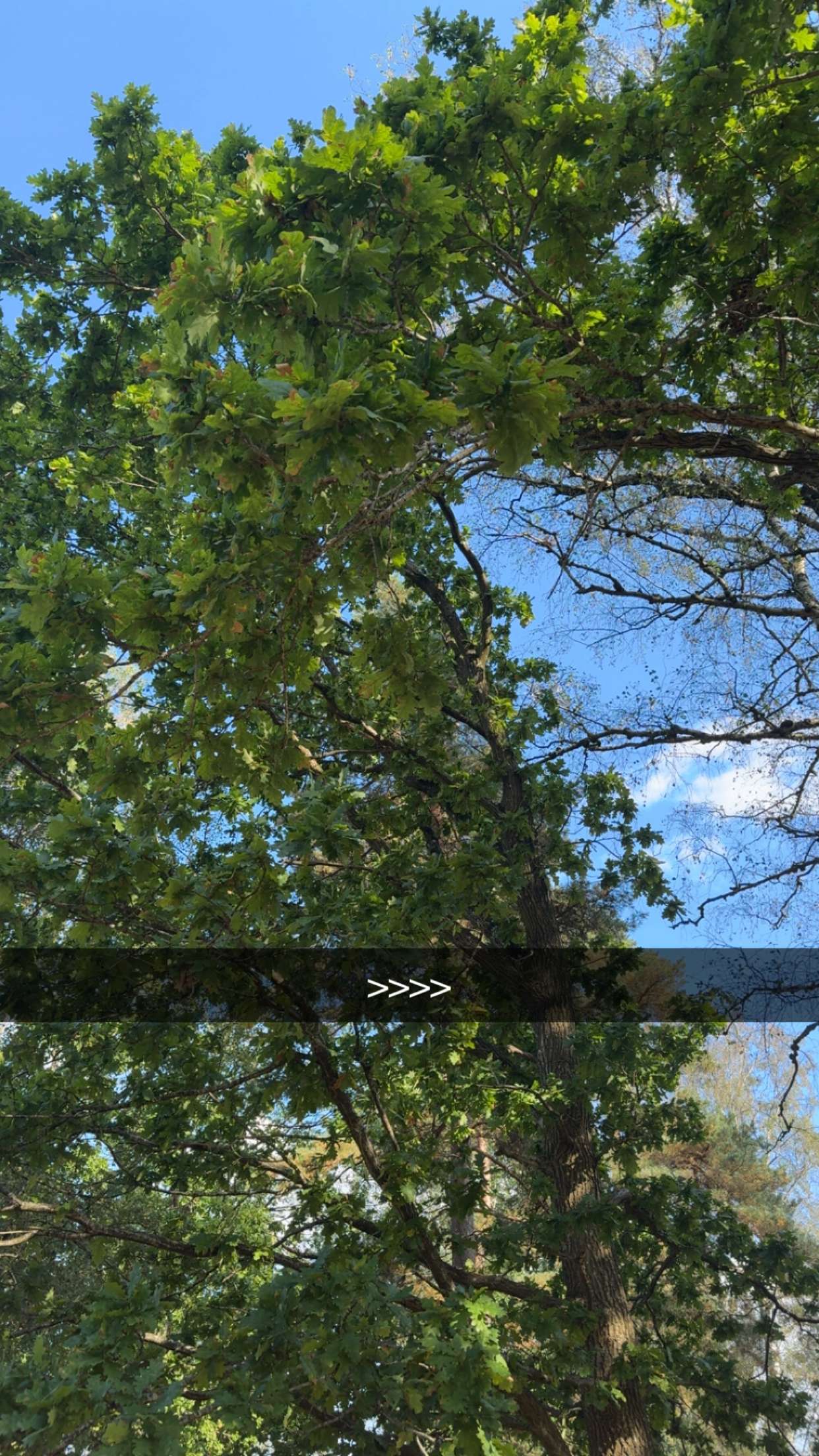 mathilda_bergs snapchat image archive image