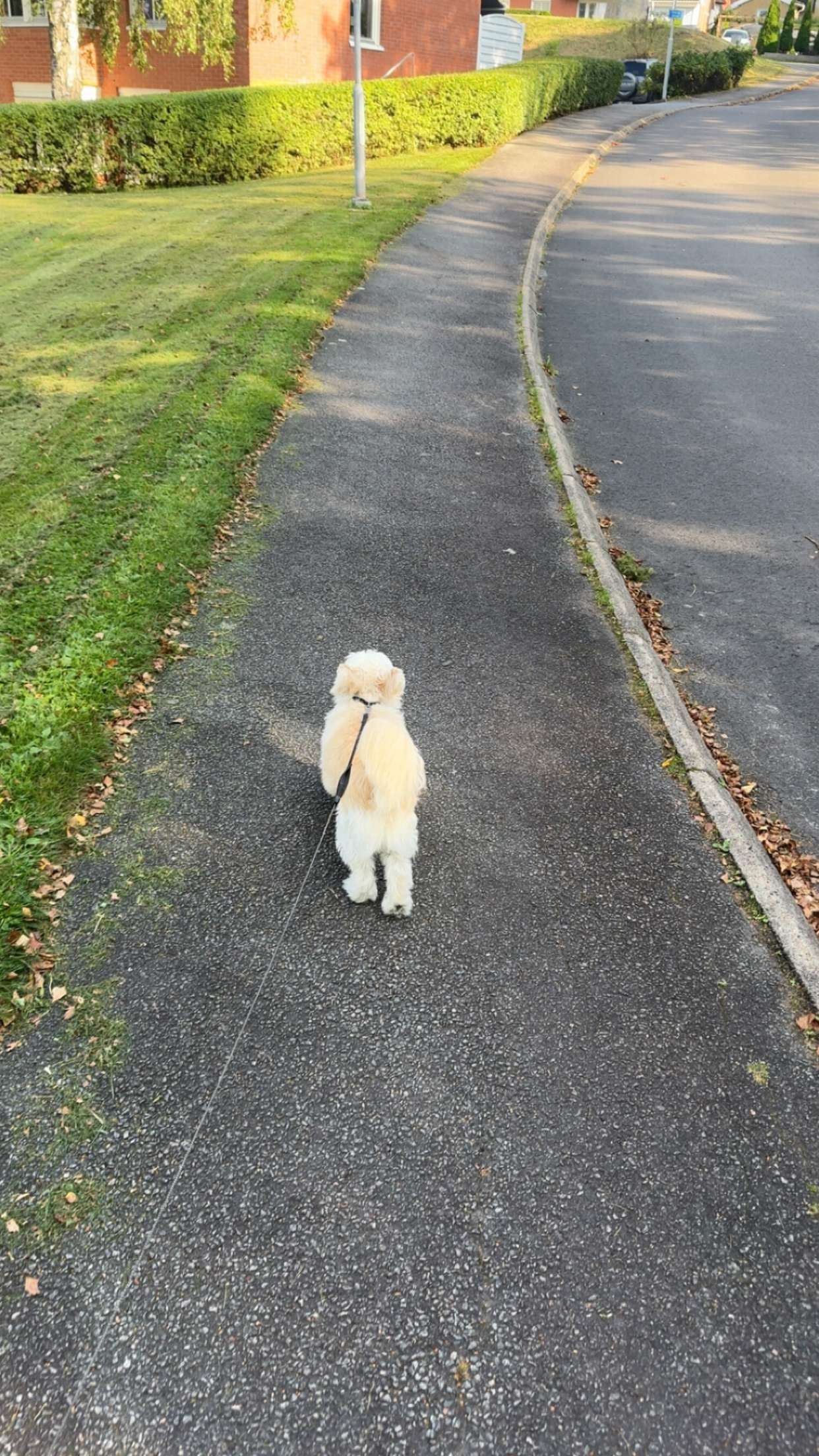 mathilda_bergs snapchat image archive image