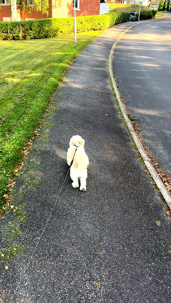 mathilda_bergs image ~ Altpins