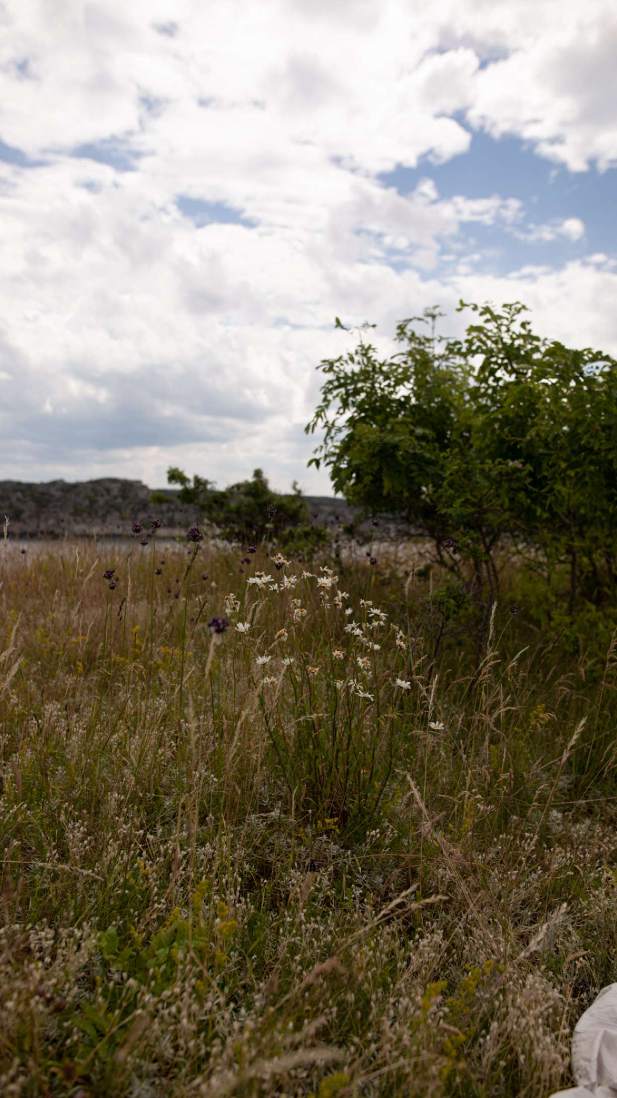 mathilda_bergs snapchat image archive image