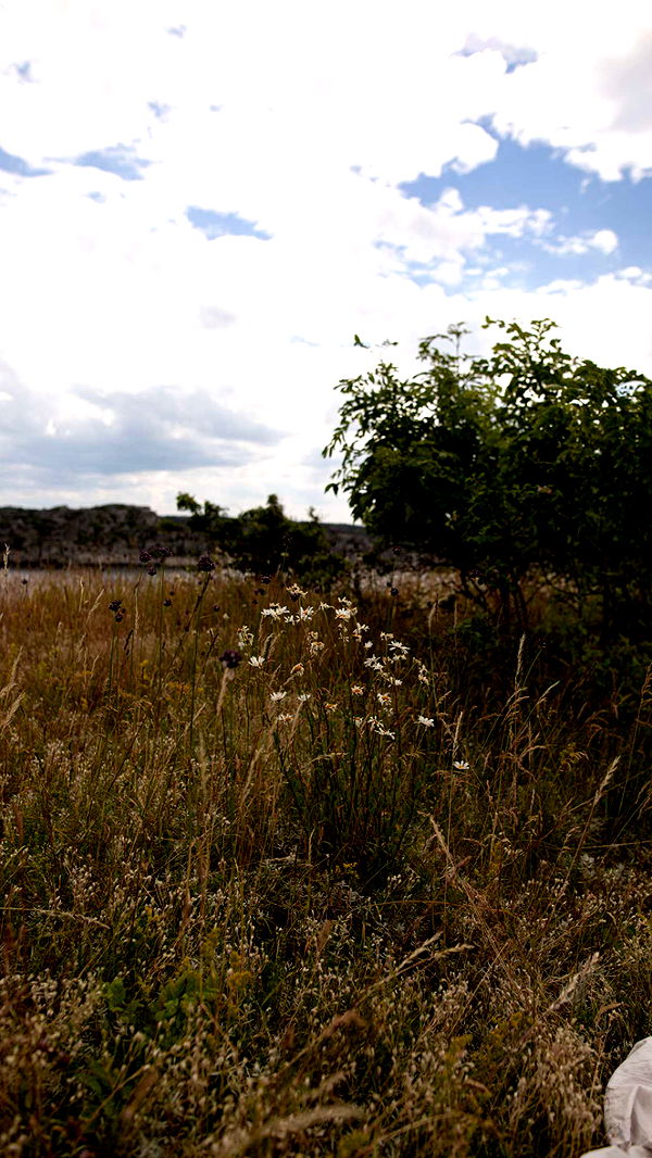 mathilda_bergs image ~ Altpins