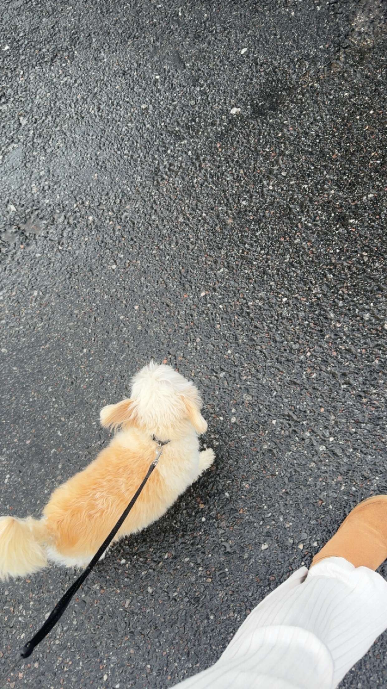 mathilda_bergs snapchat image archive image