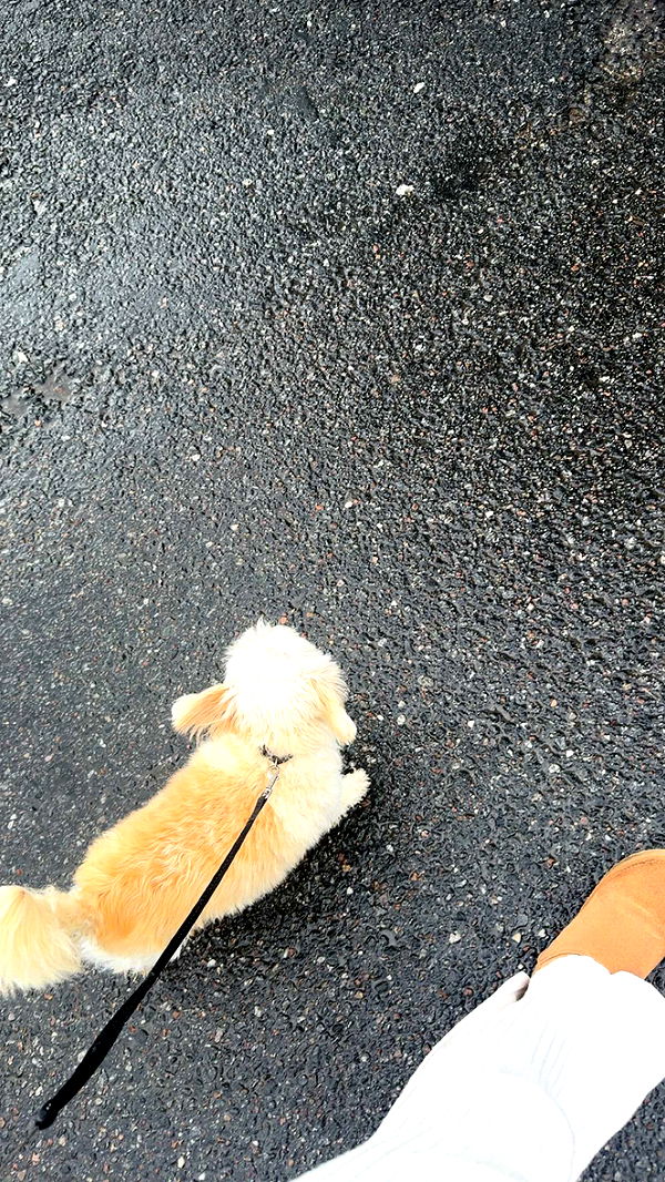 mathilda_bergs image ~ Altpins