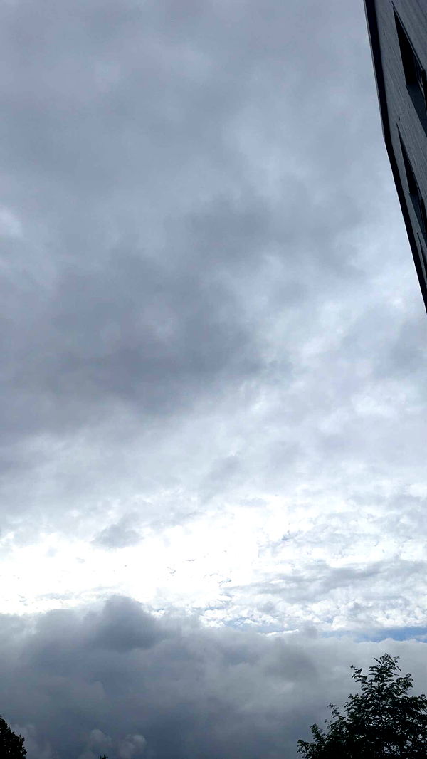 mathilda_bergs image ~ Altpins