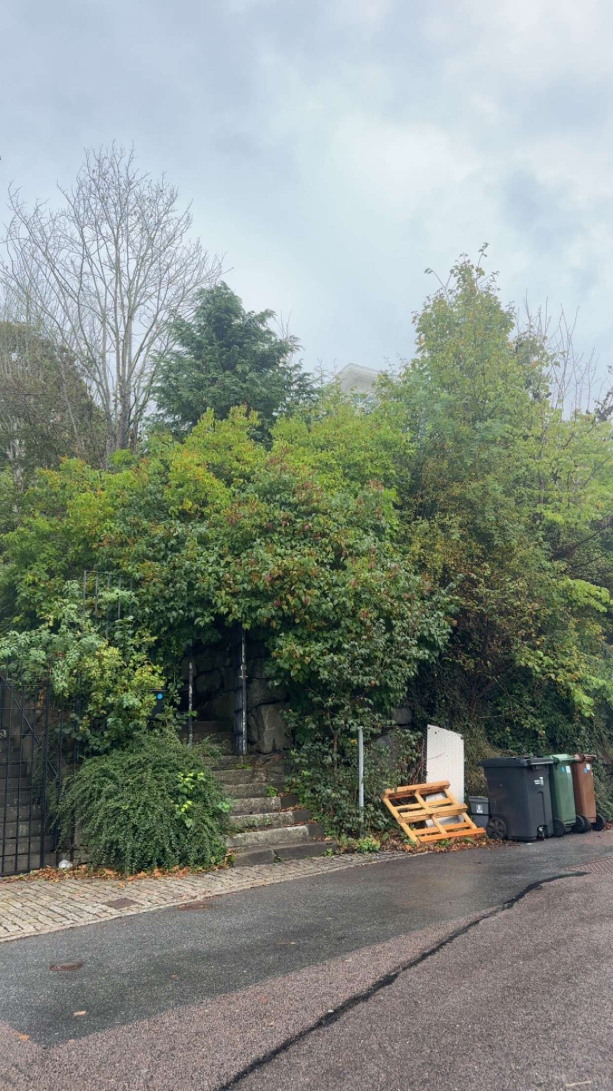 mathilda_bergs snapchat image archive image