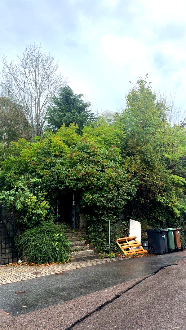 mathilda_bergs image ~ Altpins