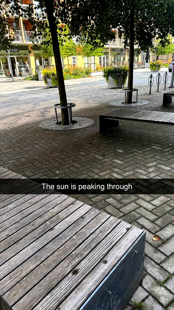 mathilda_bergs image ~ Altpins