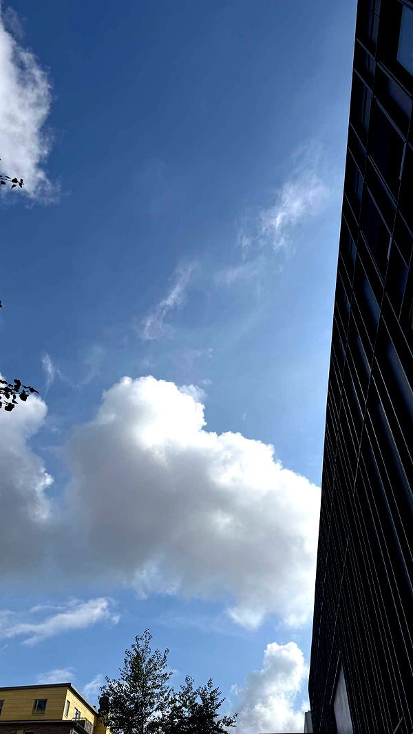 mathilda_bergs image ~ Altpins