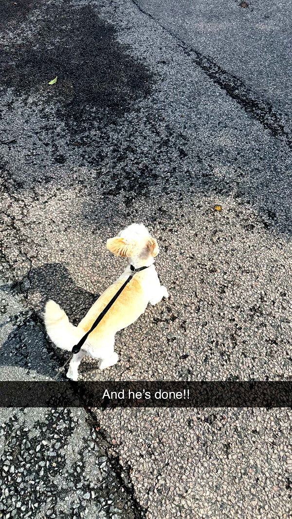 mathilda_bergs image ~ Altpins