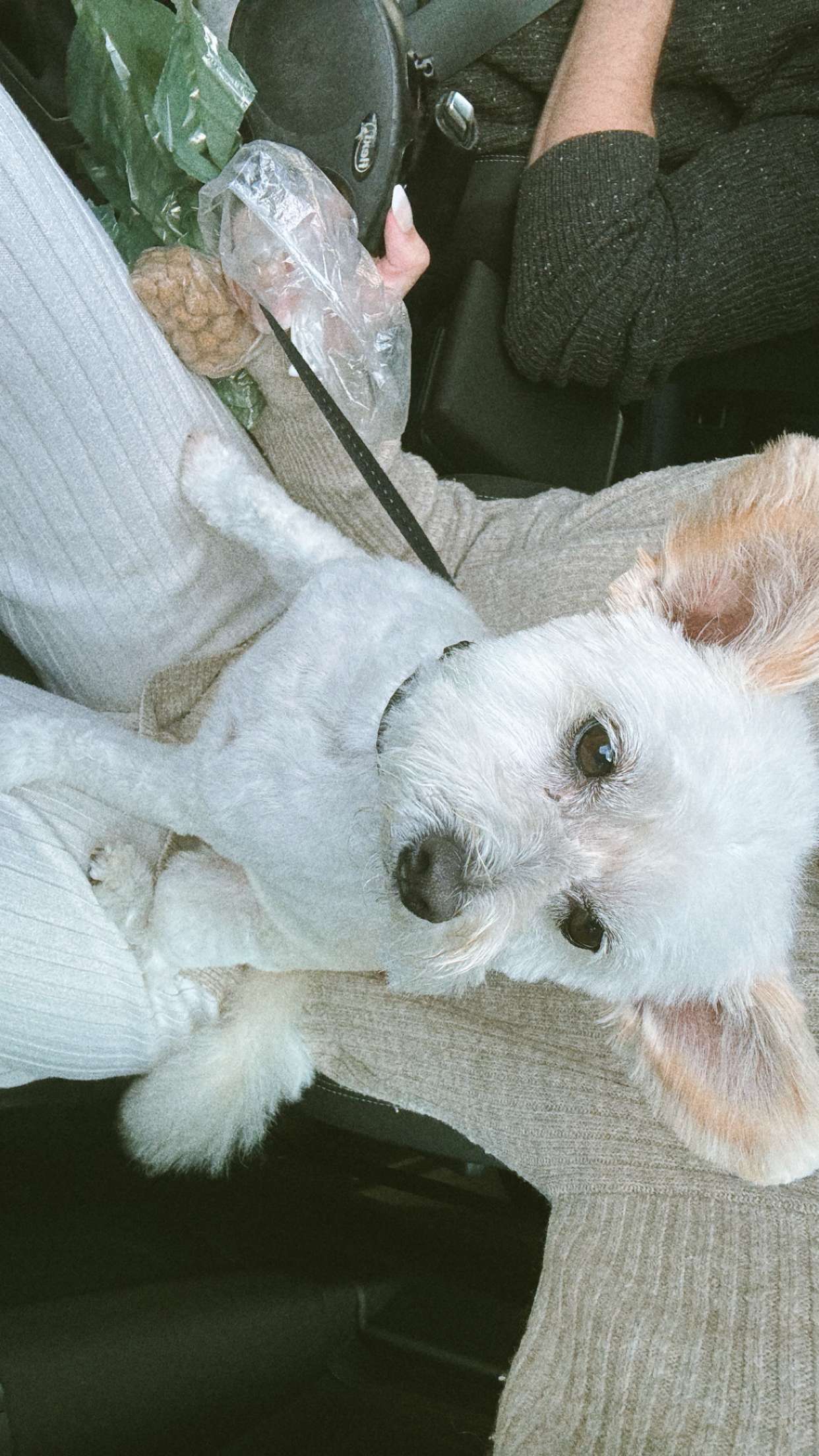 mathilda_bergs snapchat image archive image