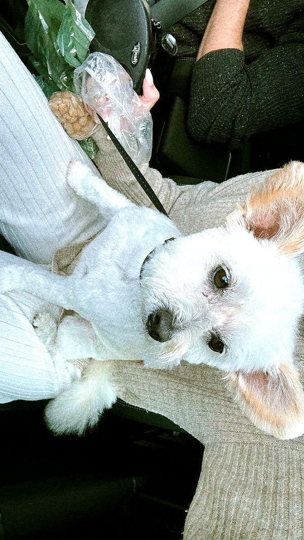 mathilda_bergs image ~ Altpins