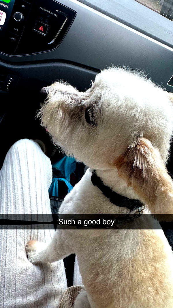 mathilda_bergs image ~ Altpins