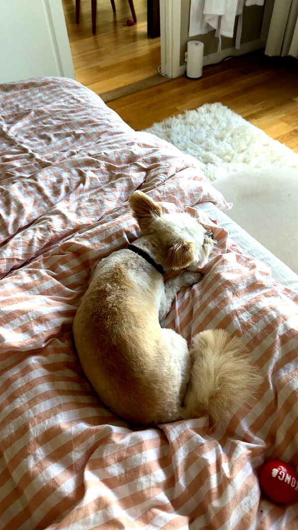 mathilda_bergs image ~ Altpins