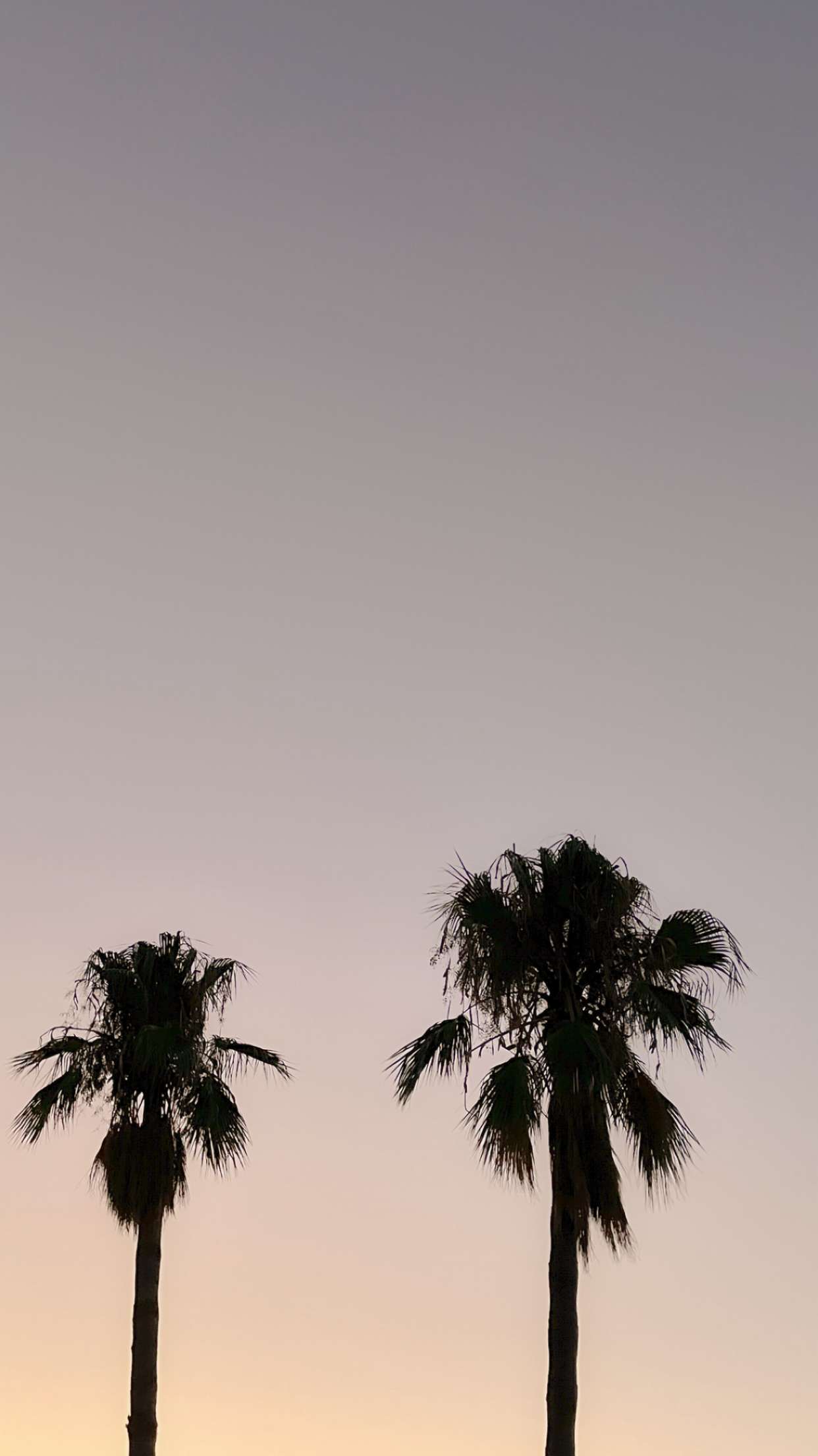 mathilda_bergs snapchat image archive image