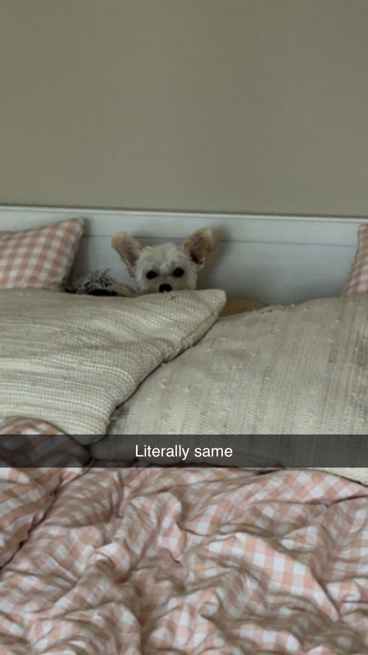 mathilda_bergs snapchat image archive image