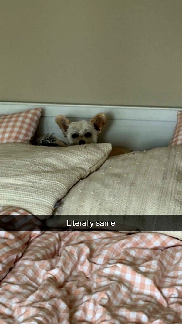 mathilda_bergs image ~ Altpins